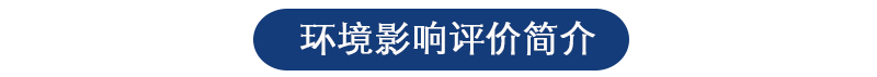 环境影响评价 环境影响评价